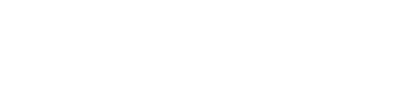 Don Fuego Logo