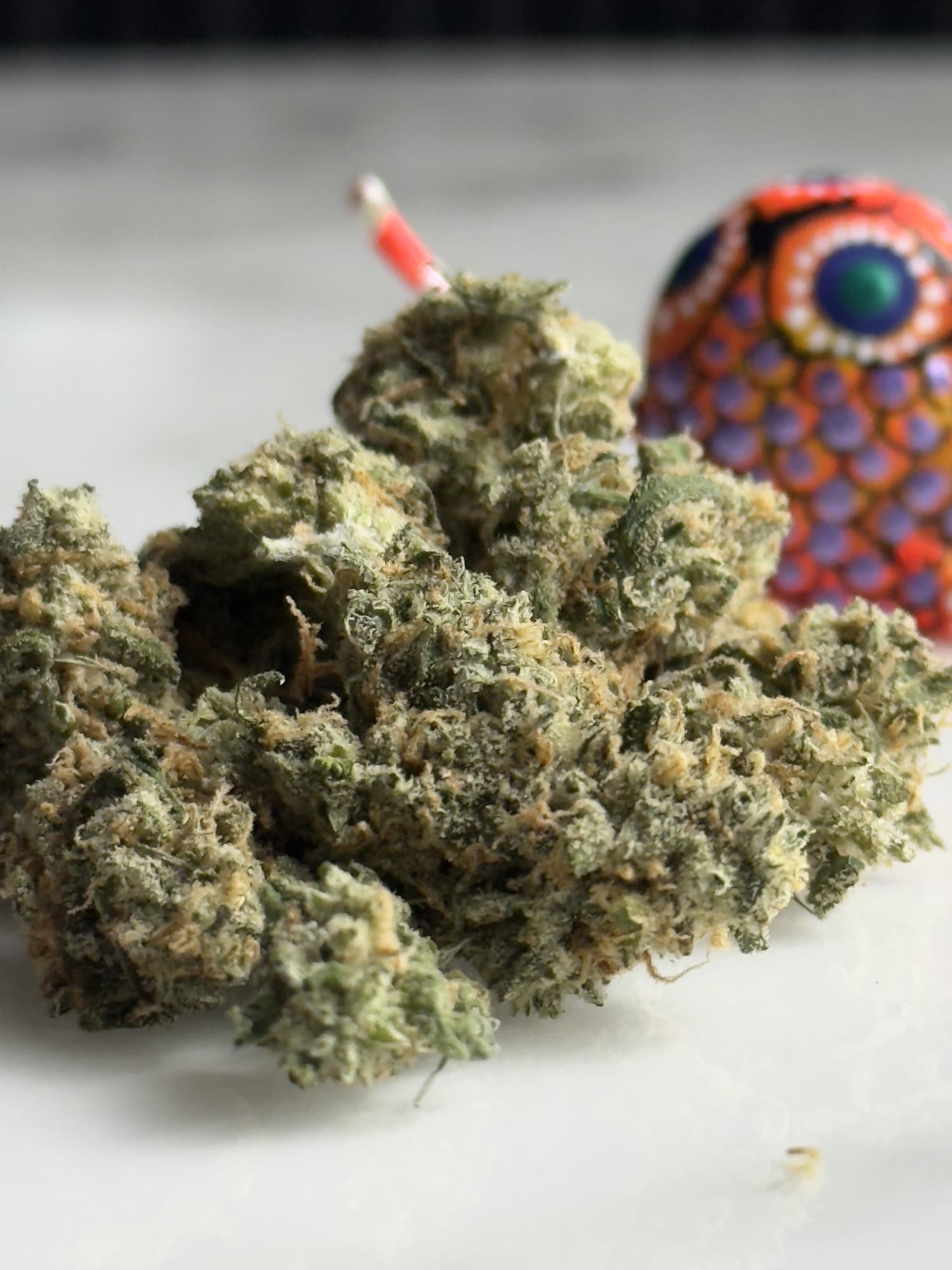 Jack Herer