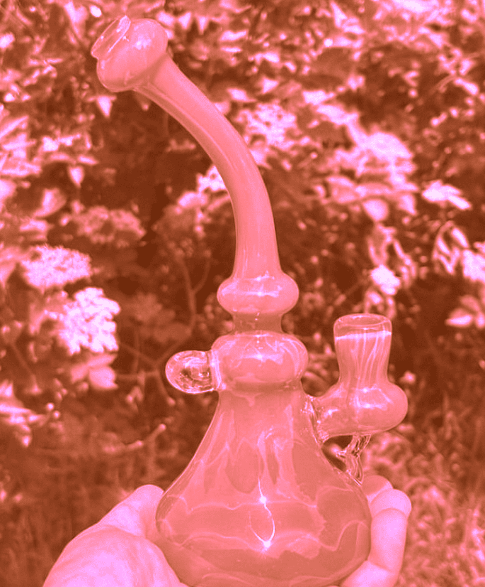 Cody Pline | Mushroom Rig | Red