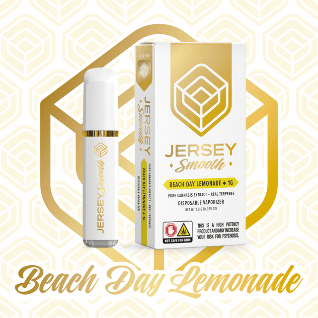 Beach Day Lemonade 1g AIO