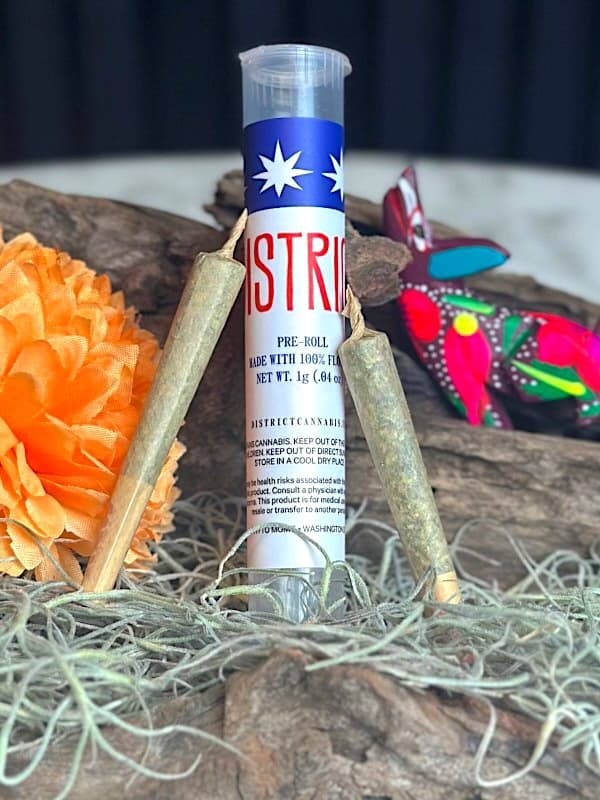 Cherry Limeade Cake Prerolls 1g 2pk